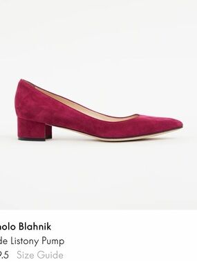 Manolo Blahnik - Listony- Burgundy Suede Low Block Heel Pump